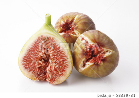 ほうらいし　イチジク 58339731