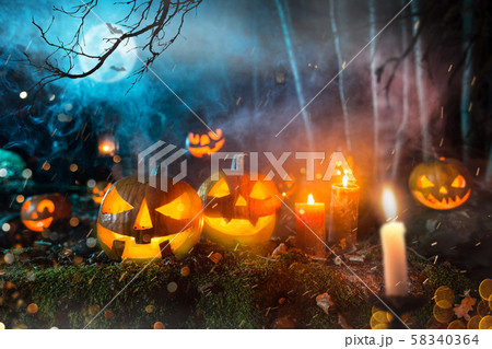 Halloween pumpkins on dark spooky forest. 58340364