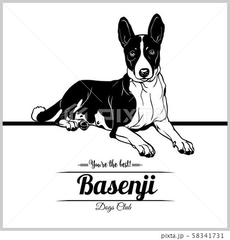 Basenji Dog - vector illustration for t-shirt, logo and template badges 58341731