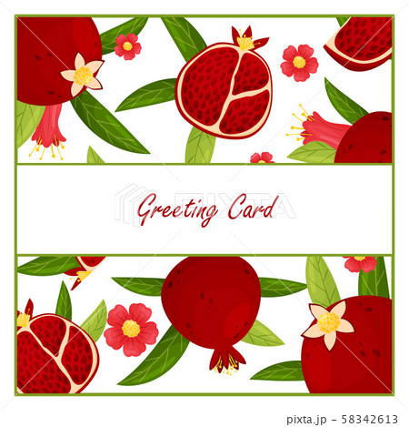 Greeting card with pomegranate background. Vector illustration. 58342613