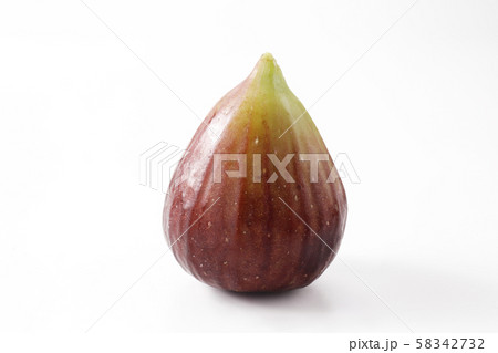 西洋イチジク 58342732