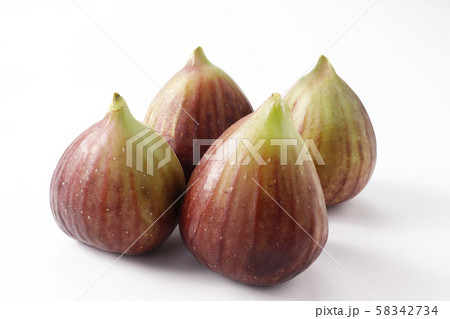 西洋イチジク 58342734
