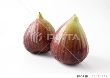 西洋イチジク 58342735