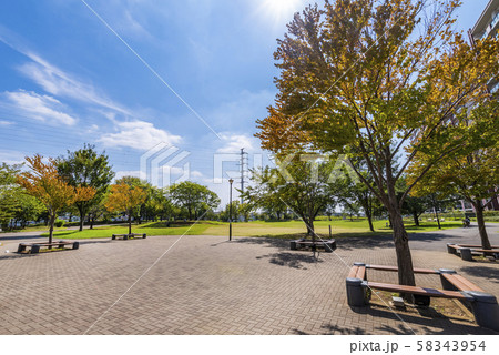 流山おおたかの森 西初石近隣公園の風景 流山おおたかの森 西初石近隣公園の風景 58343954