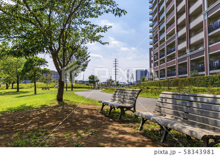 流山おおたかの森 西初石近隣公園の風景 流山おおたかの森 西初石近隣公園の風景 58343981