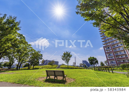 流山おおたかの森 西初石近隣公園の風景 流山おおたかの森 西初石近隣公園の風景 58343984