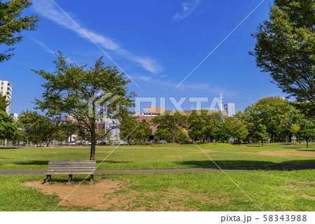 流山おおたかの森 西初石近隣公園の風景 58343988