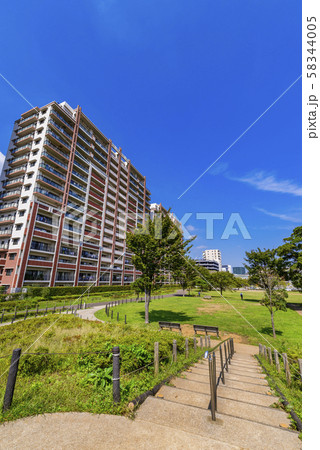 流山おおたかの森 西初石近隣公園の風景 58344005