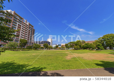 流山おおたかの森 西初石近隣公園の風景 58344010