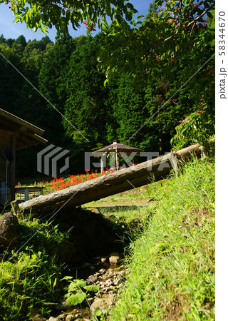伊東市 池の里山風景 58344670