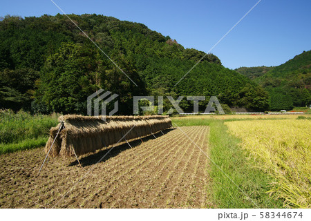 伊東市 池の里山風景 58344674