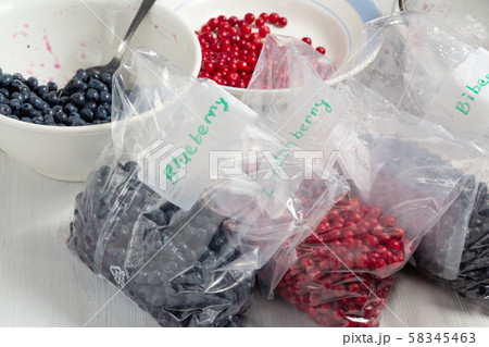 Berries laid out on a bags and prepared for freezing and storage 58345463