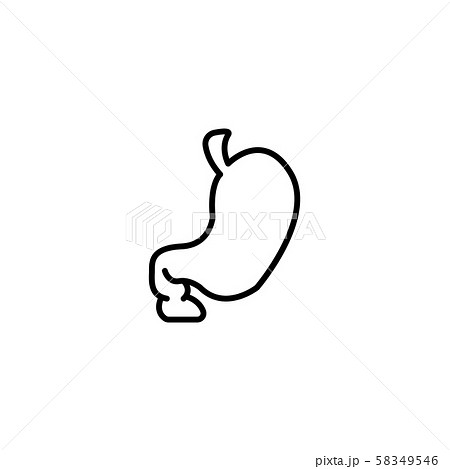 Web line icon. Stomach black on white background Web line icon. Stomach black on white background 58349546