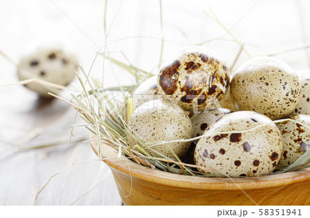 Fresh organic quail eggs in wooden bowl on rustic Fresh organic quail eggs in wooden bowl on rustic 58351941