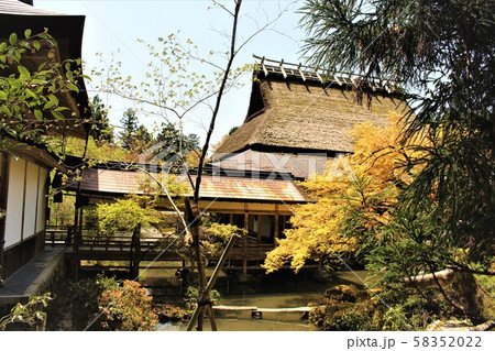 常照皇寺の庭園紅葉 常照皇寺の庭園紅葉 58352022