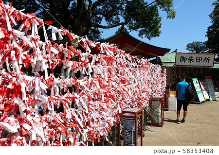 紅白のおみくじ 江島神社 江の島 の写真素材
