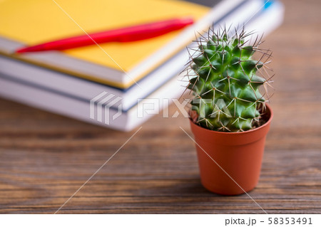 A stack of books on a table in an office and a 58353491