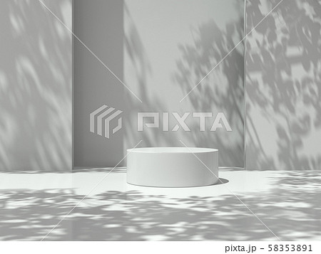 Pedestal for display,Platform for design,Blank product stand in Empty room with Tree shadow on the wall .3D rendering. 58353891