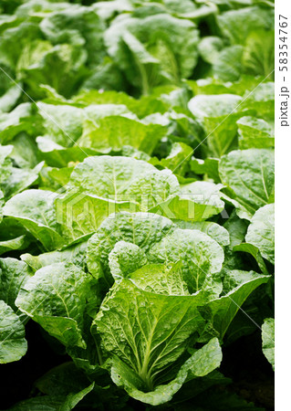 空 雲 広がり 58354767
