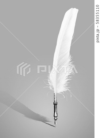 ペン 羽ペン サイン 58355110