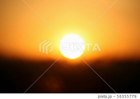 葦 ススキ 秋 58355779