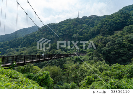栃木県日光市　鬼怒楯岩大吊橋　（8月） 58356110