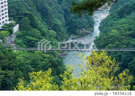 栃木県日光市　鬼怒楯岩大吊橋　（8月） 58356118