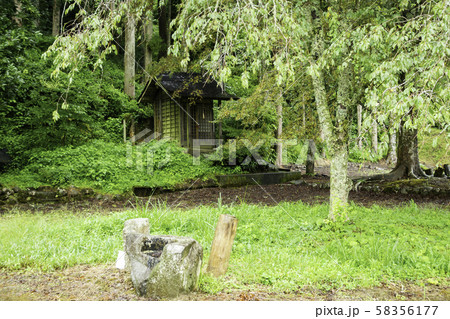 一乗谷朝倉氏遺跡 朝倉館跡 福井県福井市 一乗谷朝倉氏遺跡 朝倉館跡 福井県福井市 58356177