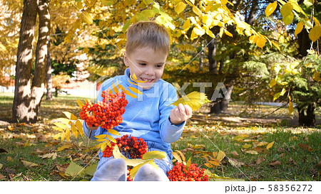 A child in the autumn Park plays and laughs merrily, he plays with yellow leaves and Rowan berries 58356272