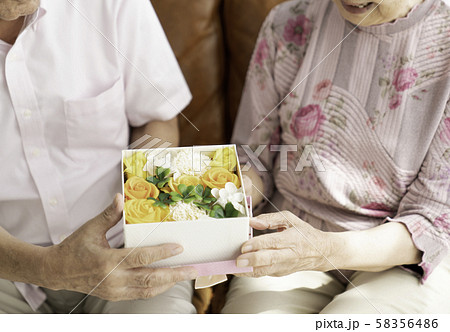 プレゼント プレゼント 58356486