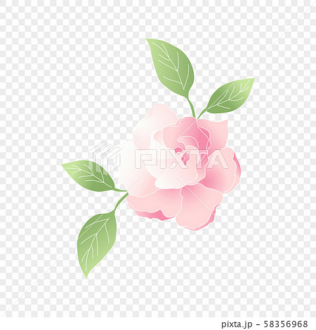 Isolated pink flower. Vector floral Isolated pink flower. Vector floral 58356968