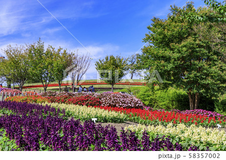 馬見丘陵公園　秋 58357002