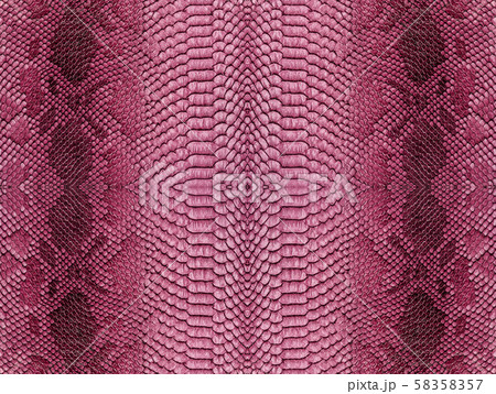 Snake skin background. Panoramic web banner with 58358357