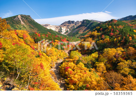 十勝岳温泉の紅葉 十勝岳温泉の紅葉 58359365