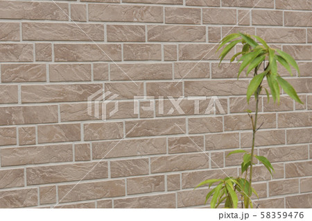 若葉と壁の背景素材 若葉と壁の背景素材 58359476