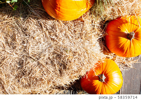 Pile of pumpkins sold at a market  for halloween. 58359714
