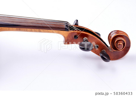 Scroll of the violin on white background. Scroll of the violin on white background. 58360433
