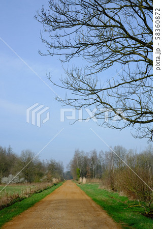 Countryside rural pathway leading toward green forest 58360872
