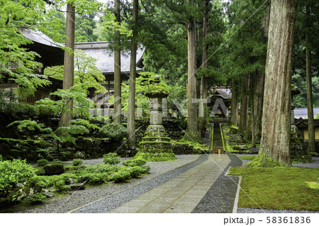 永平寺 唐門 福井県吉田郡永平寺町 永平寺 唐門 福井県吉田郡永平寺町 58361836