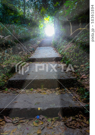Hiking to the Light 58361894