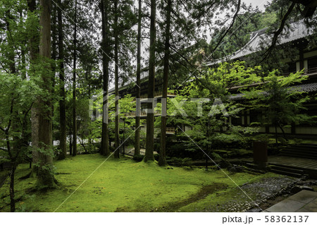 永平寺　傘松閣と吉祥閣　福井県吉田郡永平寺町 58362137