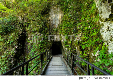抱返り渓谷の洞窟01 58362963