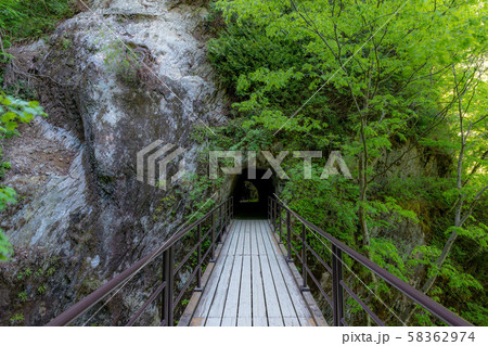 抱返り渓谷の洞窟05 58362974