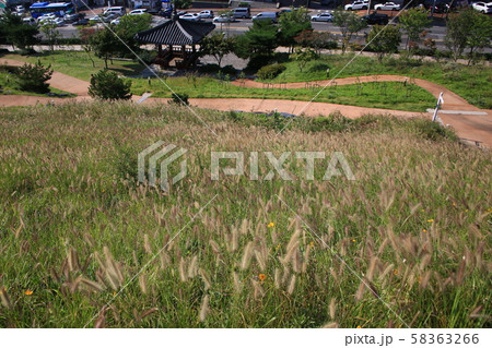 鍾路区 城北区 文化財 58363266