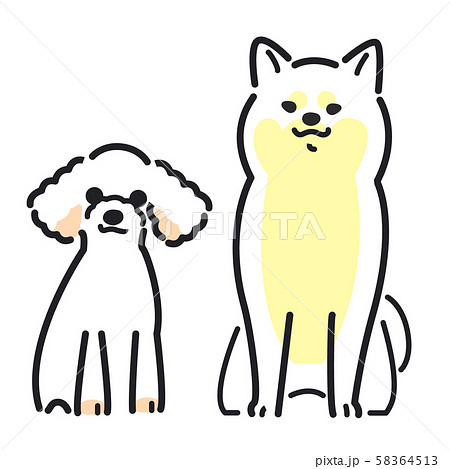 犬 ポーズ 表情 ２匹 柴犬 トイプードルのイラスト素材