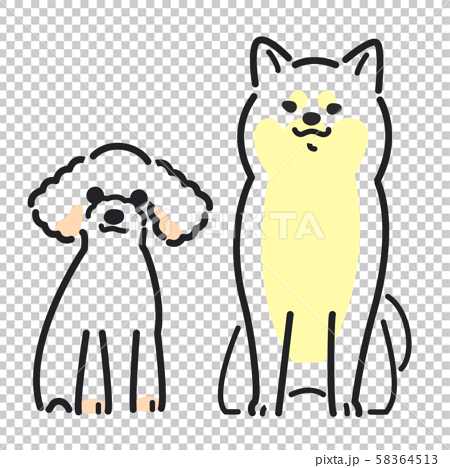 犬 ポーズ 表情 ２匹 柴犬 トイプードルのイラスト素材