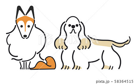 犬 ポーズ 表情 ２匹 シェットランドシープドッグ アメリカンコッカースパニエルのイラスト素材