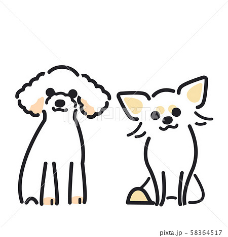 犬 ポーズ 表情 ２匹 トイプードル チワワのイラスト素材