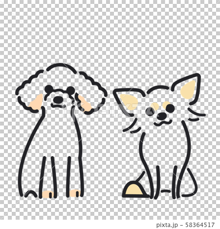犬 ポーズ 表情 ２匹 トイプードル チワワのイラスト素材