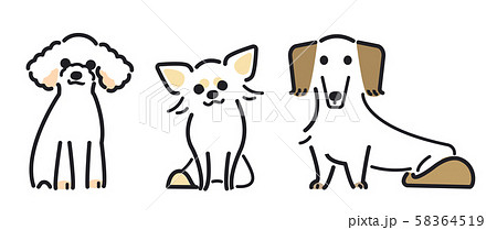犬 ポーズ 表情 ３匹 トイプードル チワワ ミニチュアダックスフンドのイラスト素材
